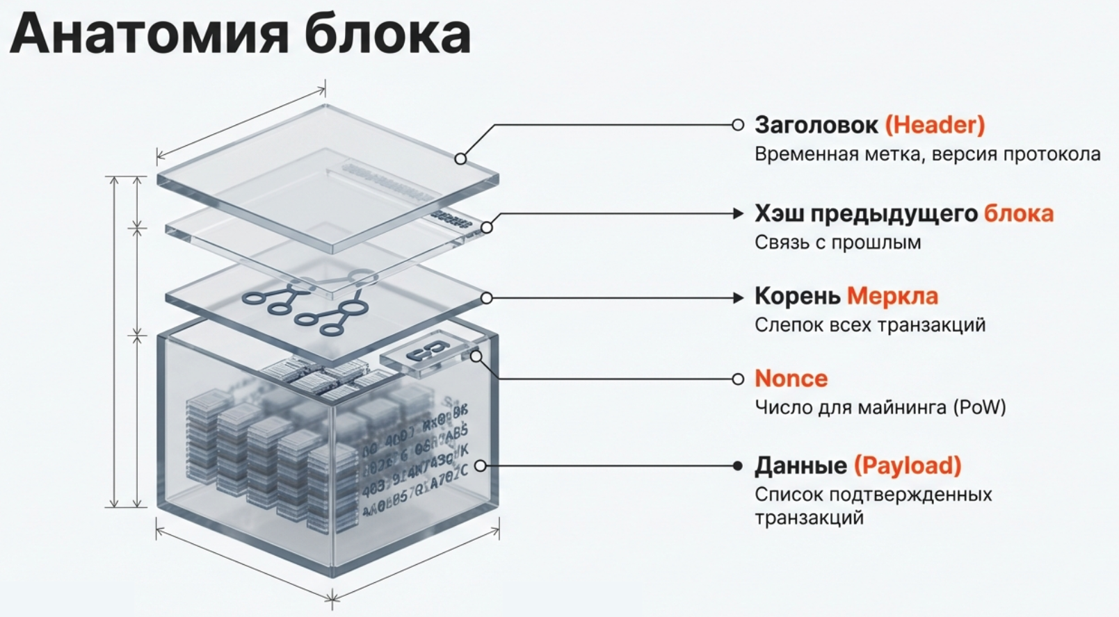 Из чего состоит блок в блокчейн
