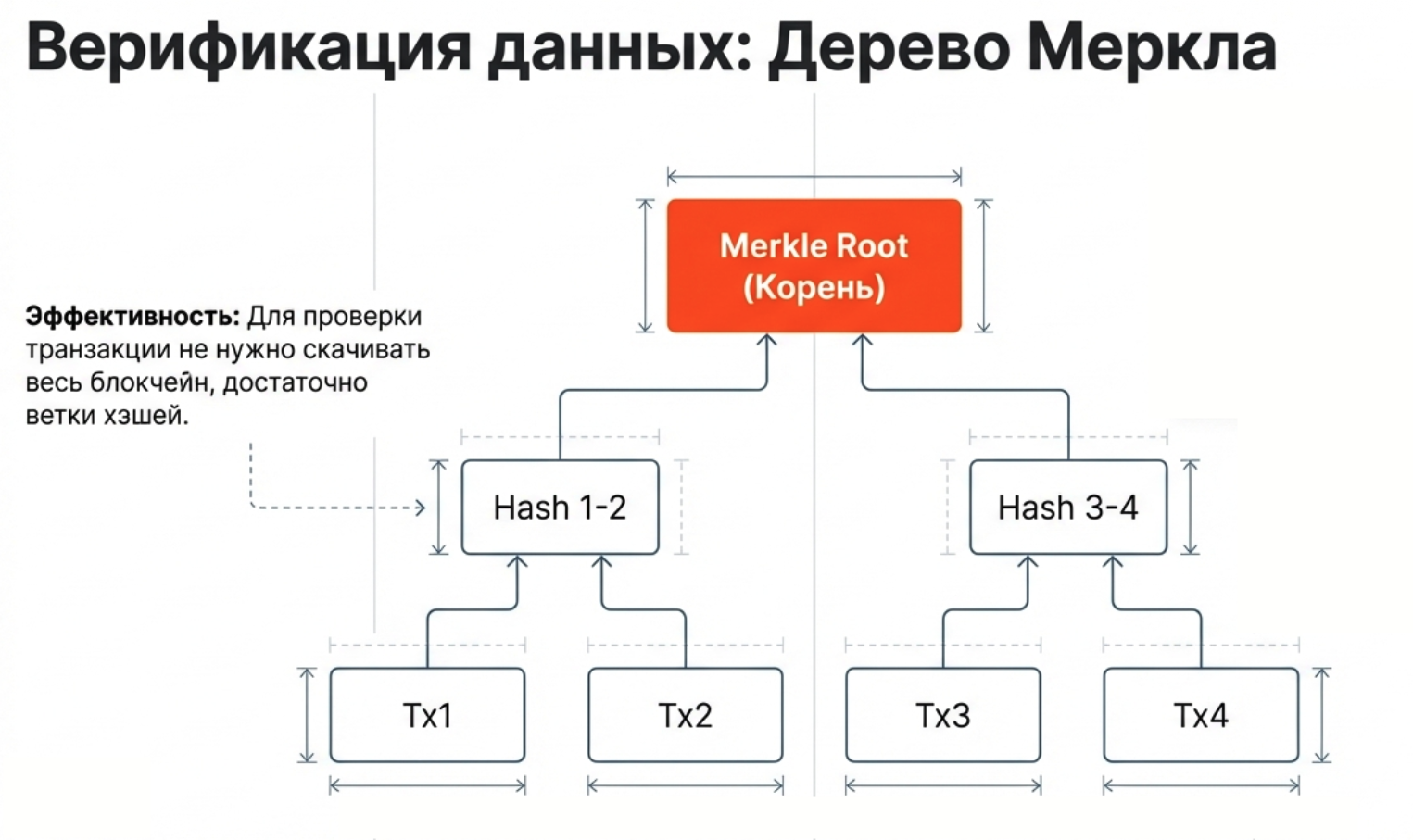 Как формируется корень Меркла из дерева Меркла